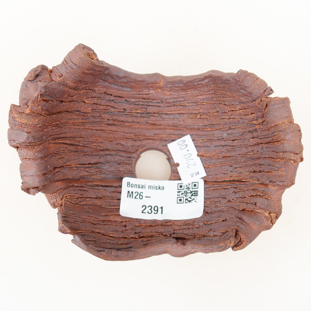 Ceramic Shell  11.5 x 8.5 x 6.5 cm, brown
