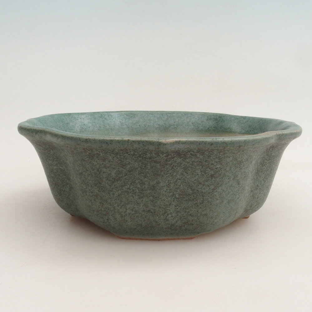 Bonsai bowl H16 - 14.5 x 14.5 x 5 cm.