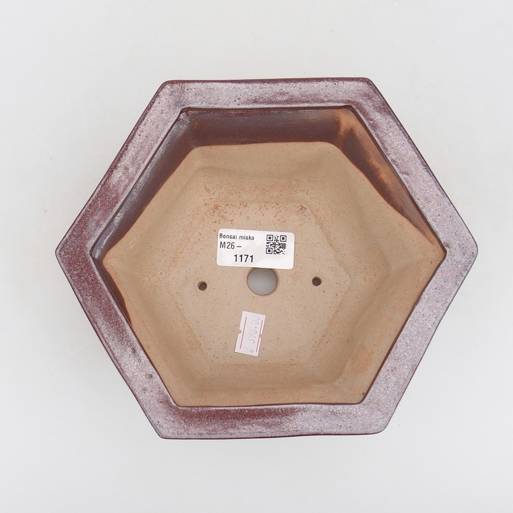 Ceramic bonsai bowl 18 x 16 x 9 cm, burgundy