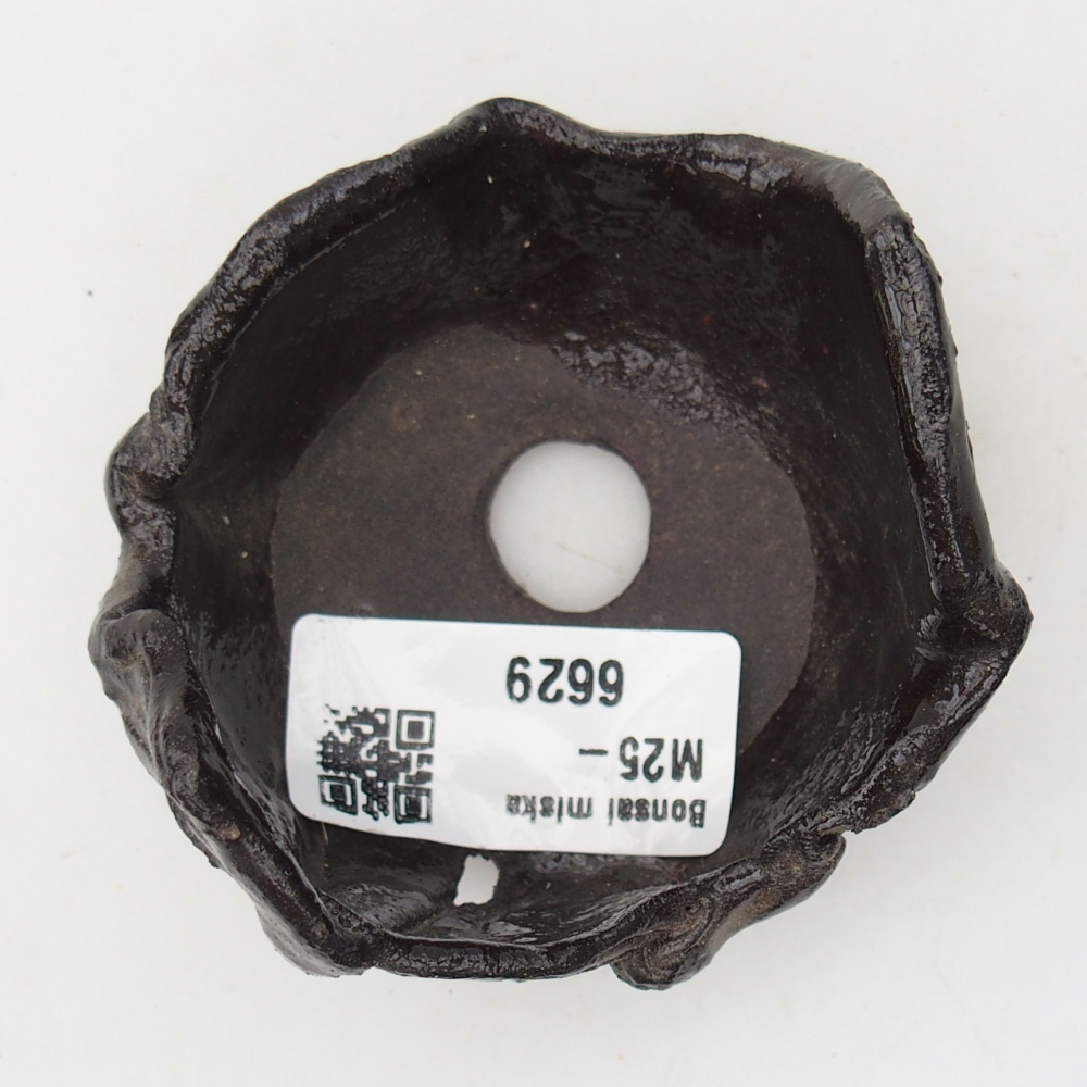 Ceramic Shell 7 x 7 x 5 cm , colour black