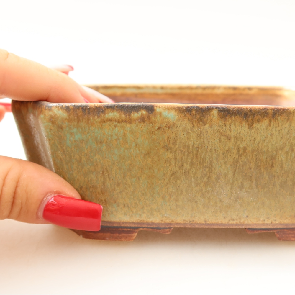 Ceramic bonsai pot, 14 x 11.5 x 4.5 cm, green