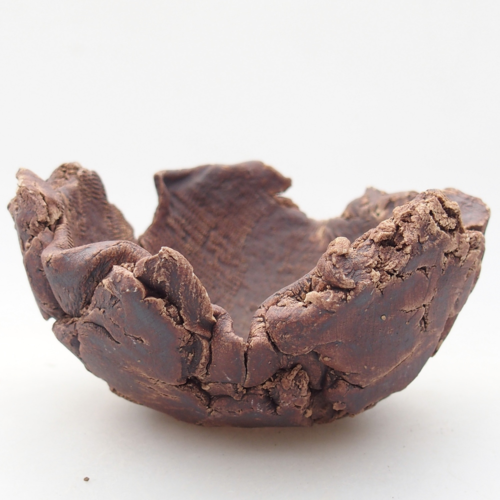 Ceramic Shell 10 x 9,5 x 6 cm , colour brown