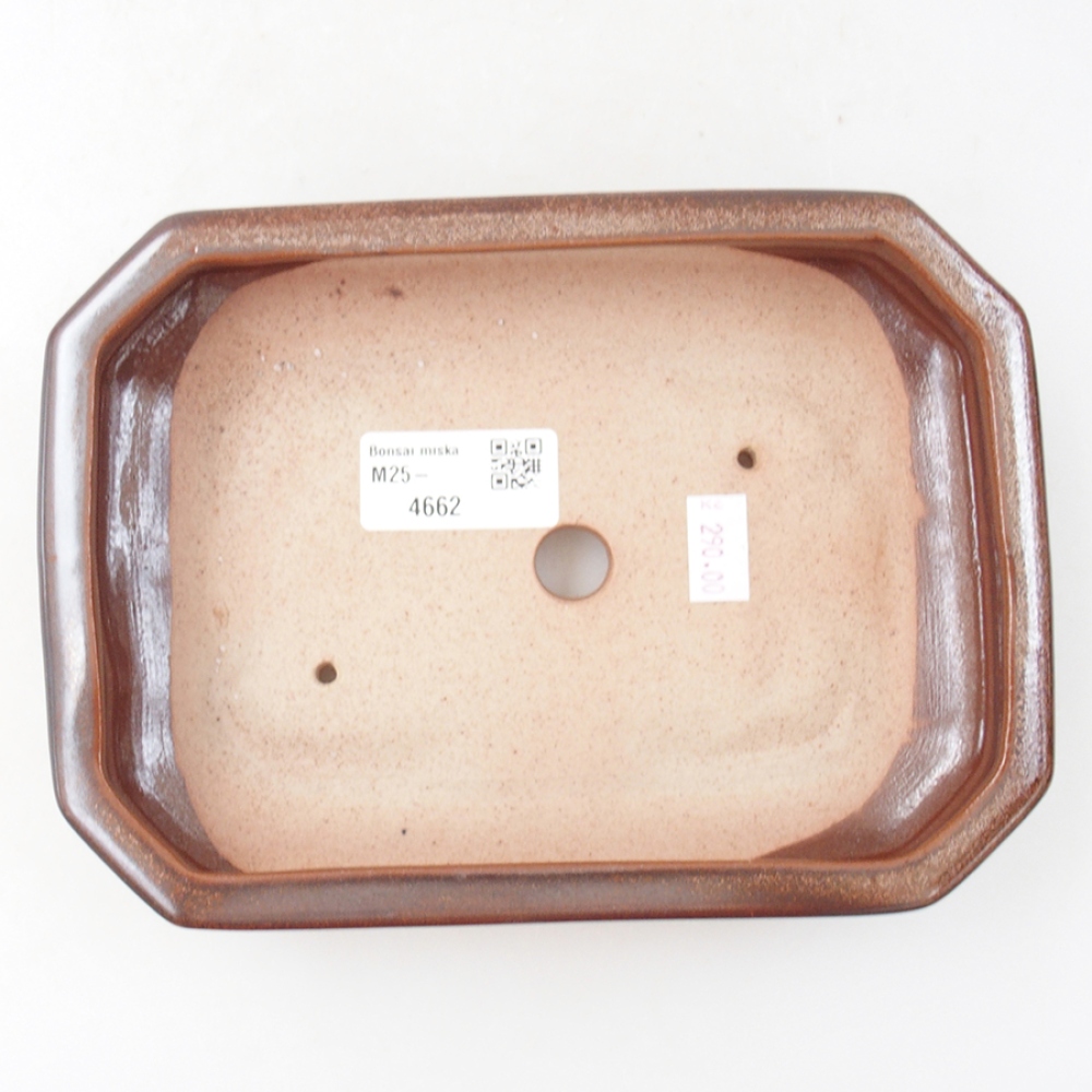 Ceramic bonsai bowl 19 x 13,5 x 4,5 cm, color brown