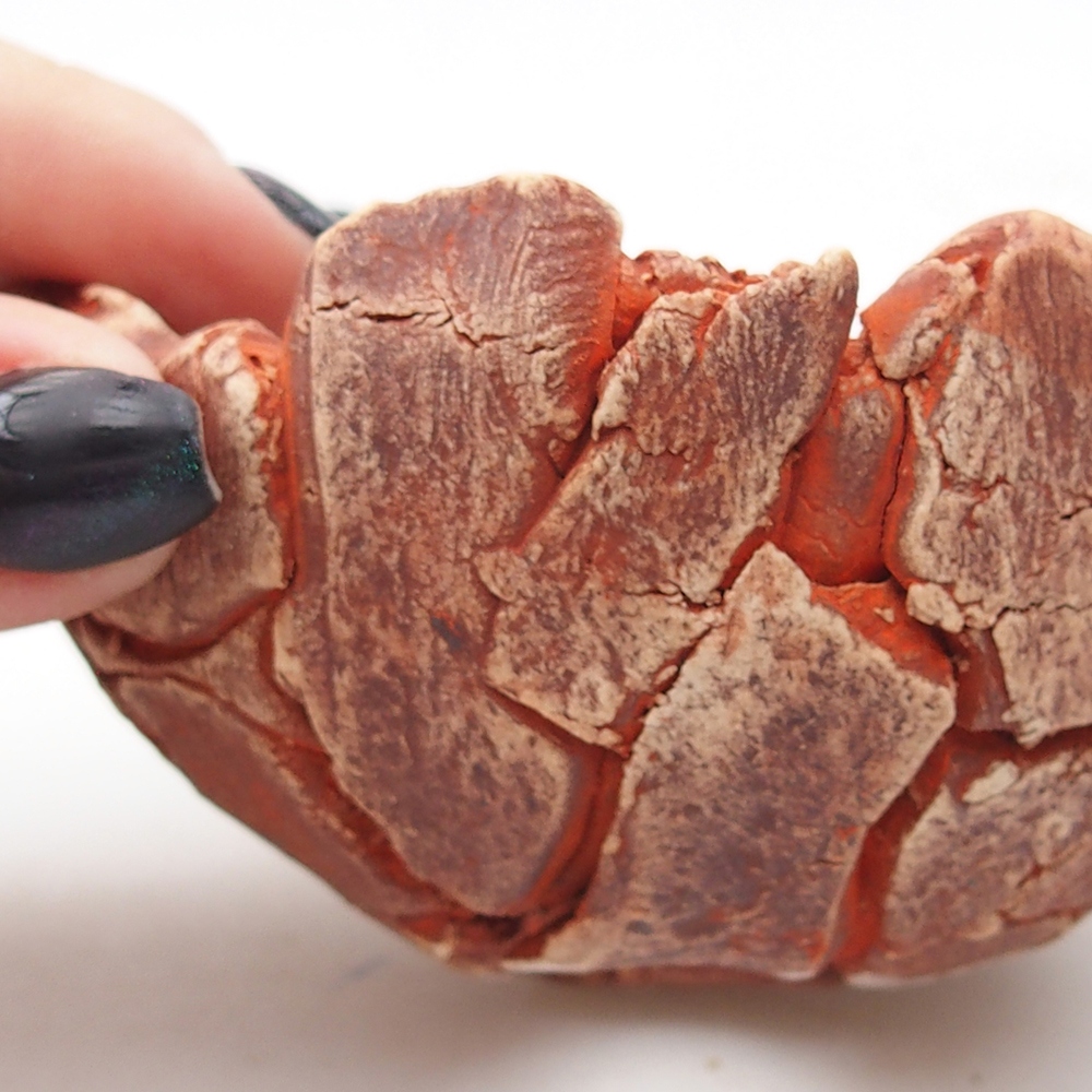 Ceramic shell 9 x 9 x 5 cm , colour orange