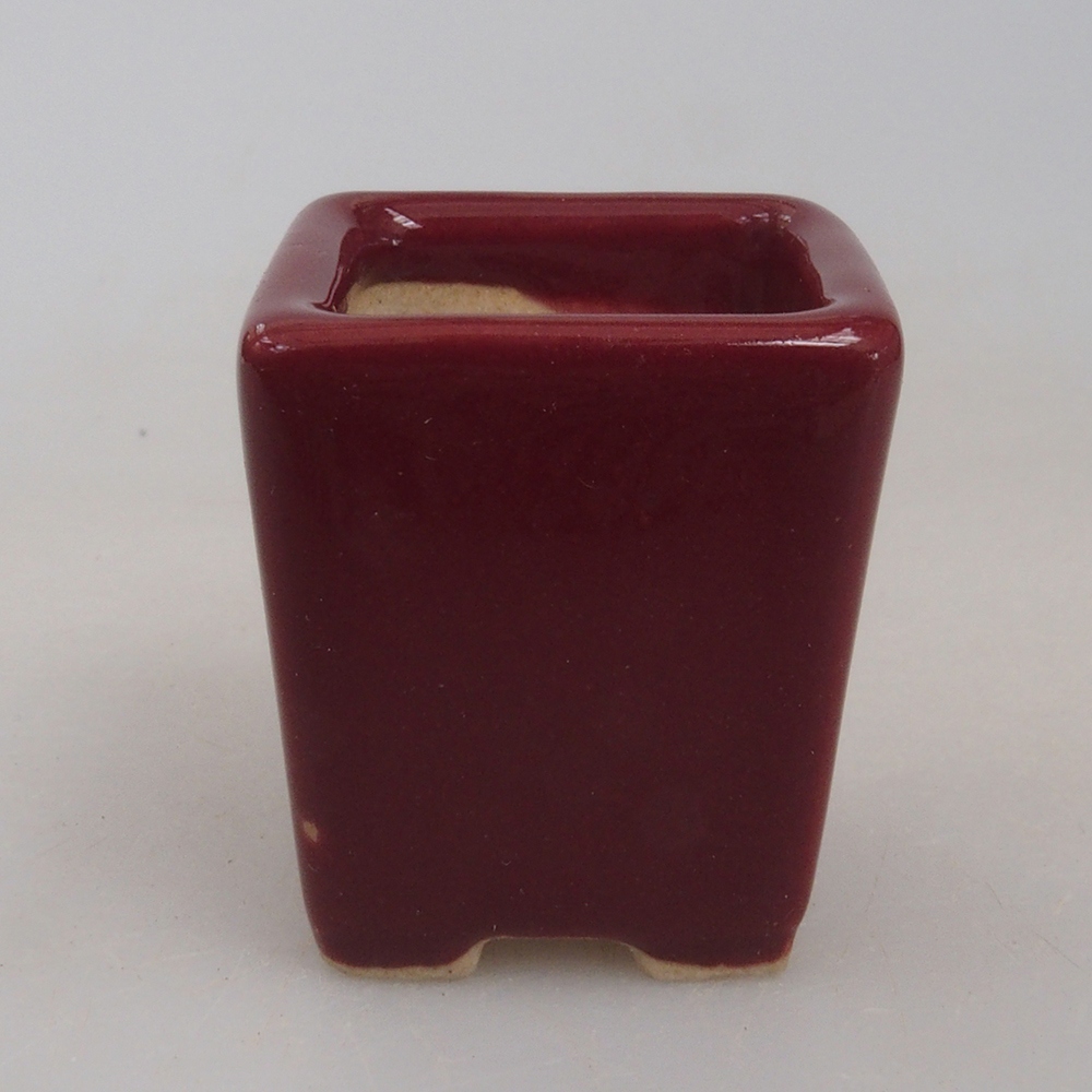 Mini bonsai bowl 3 x 3 x 3,5  cm, color burgundy