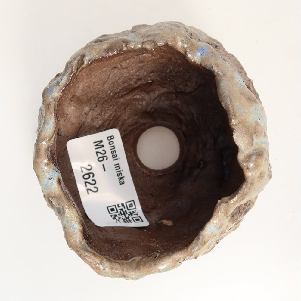 Ceramic Shell, 7.5 x 7 x 5 cm, green