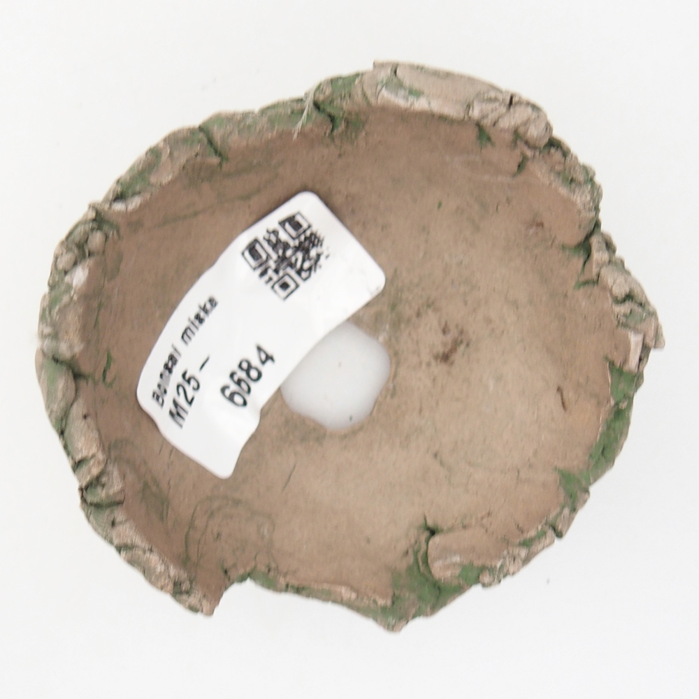 Ceramic Shell 7 x 7 x 4 cm , colour green