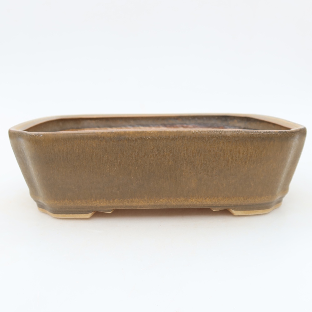 Ceramic bonsai pot, 21.5 x 18 x 6 cm, brown
