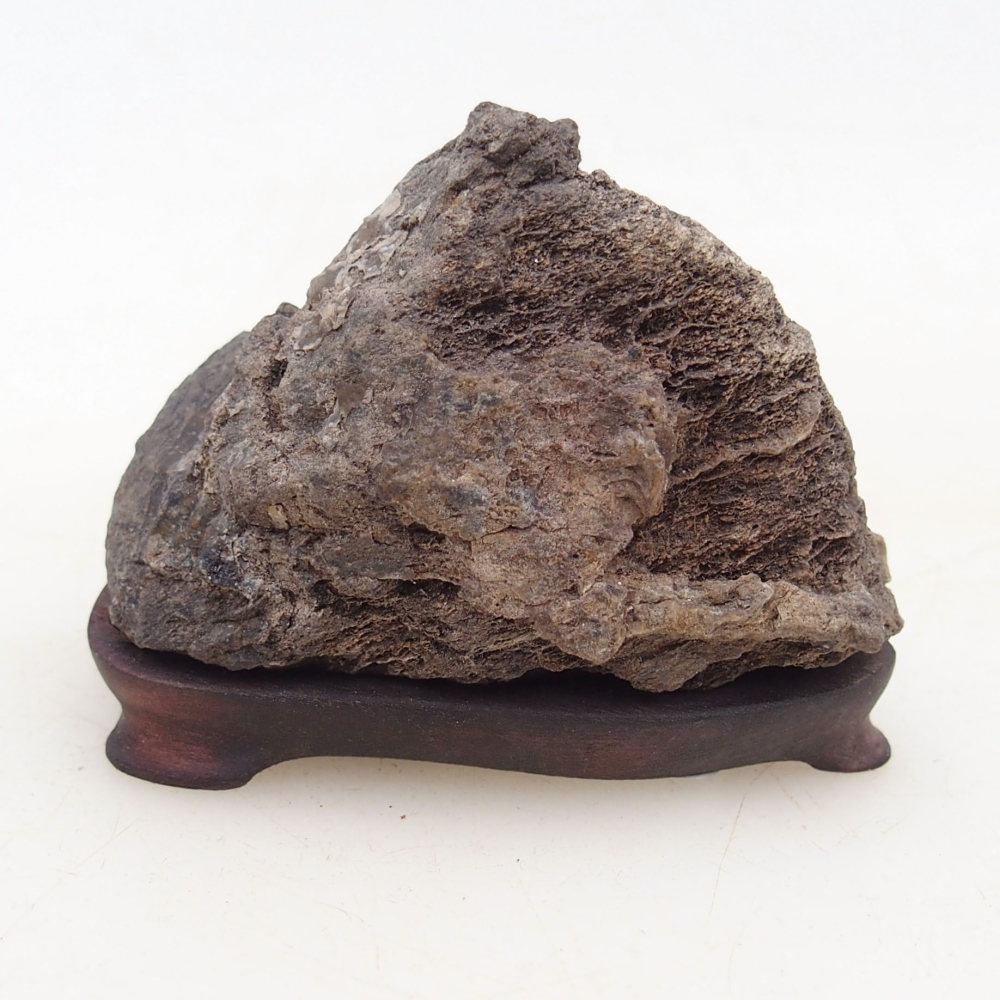 Suiseki - Stone with DAI (wooden pad)