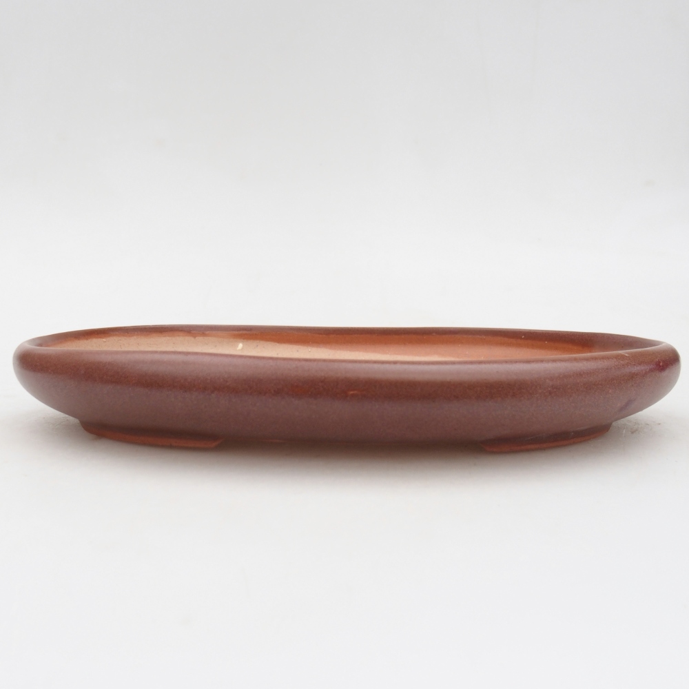Ceramic bonsai bowl 22 x 17 x 3 cm, brown