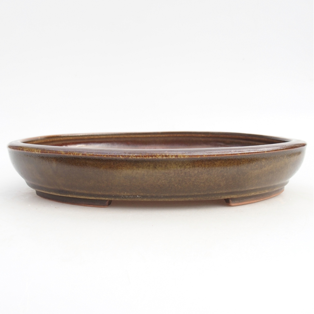 Ceramic bonsai bowl 24,5 x 20 x 4 cm, brown