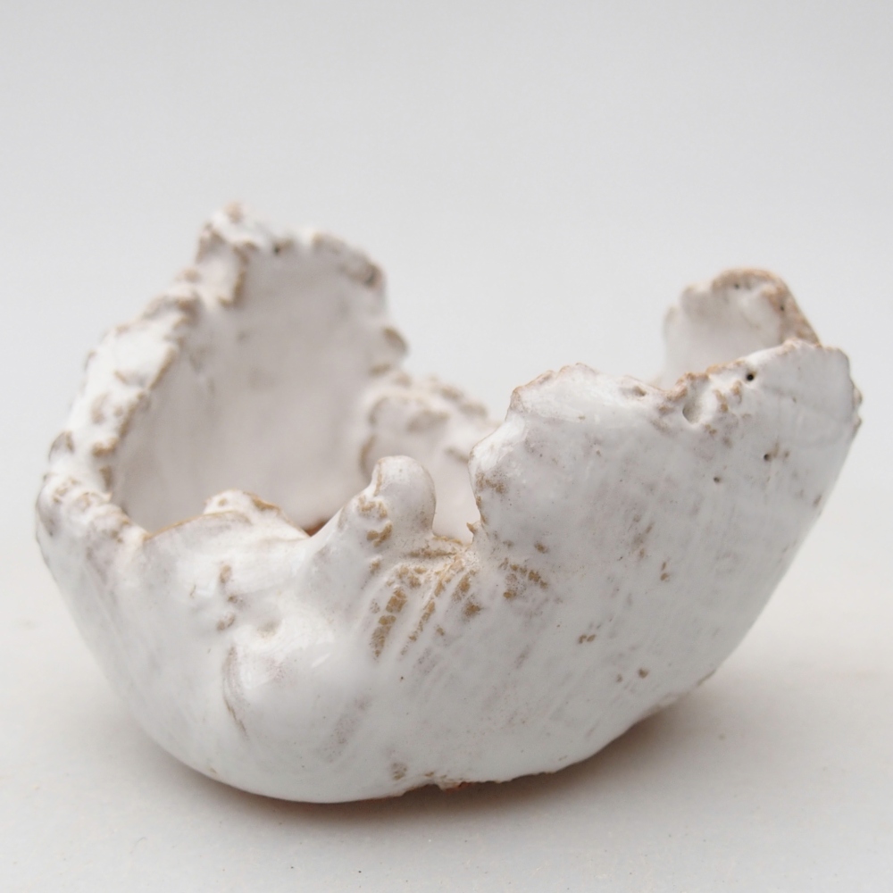 Ceramic Shell 7 x 6,5 x 5 cm , colour white