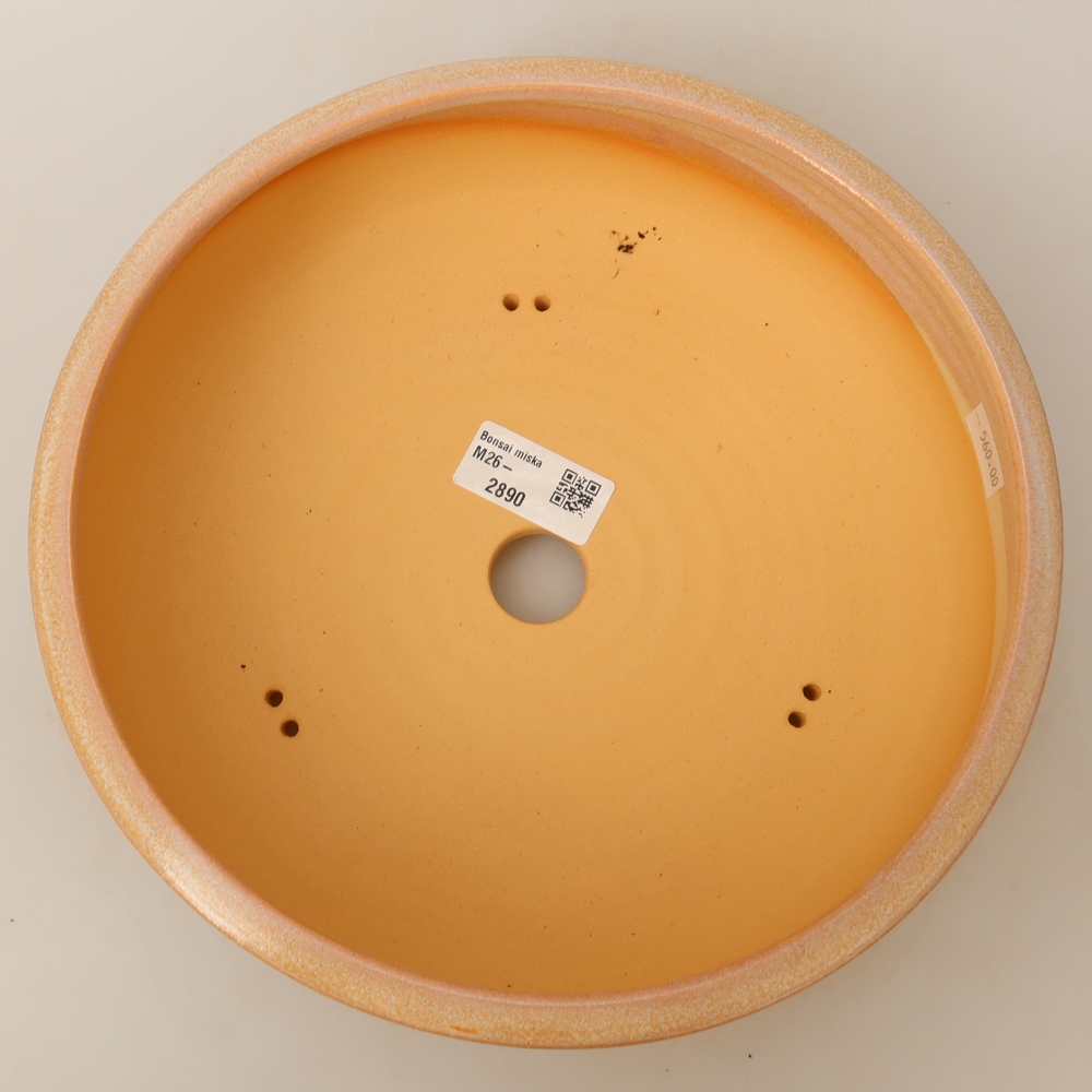 Ceramic bonsai pot, 24 x 24 x 7 cm, beige