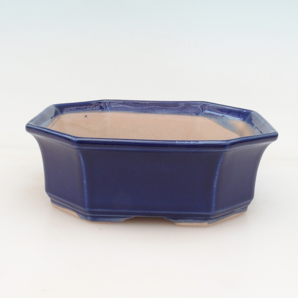 Bonsai bowl + bowl H14 - blue