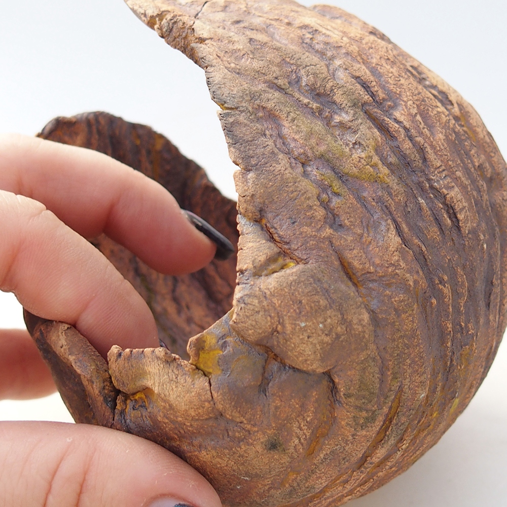 Ceramic Shell 10 x 9,5 x 10 cm , colour brown