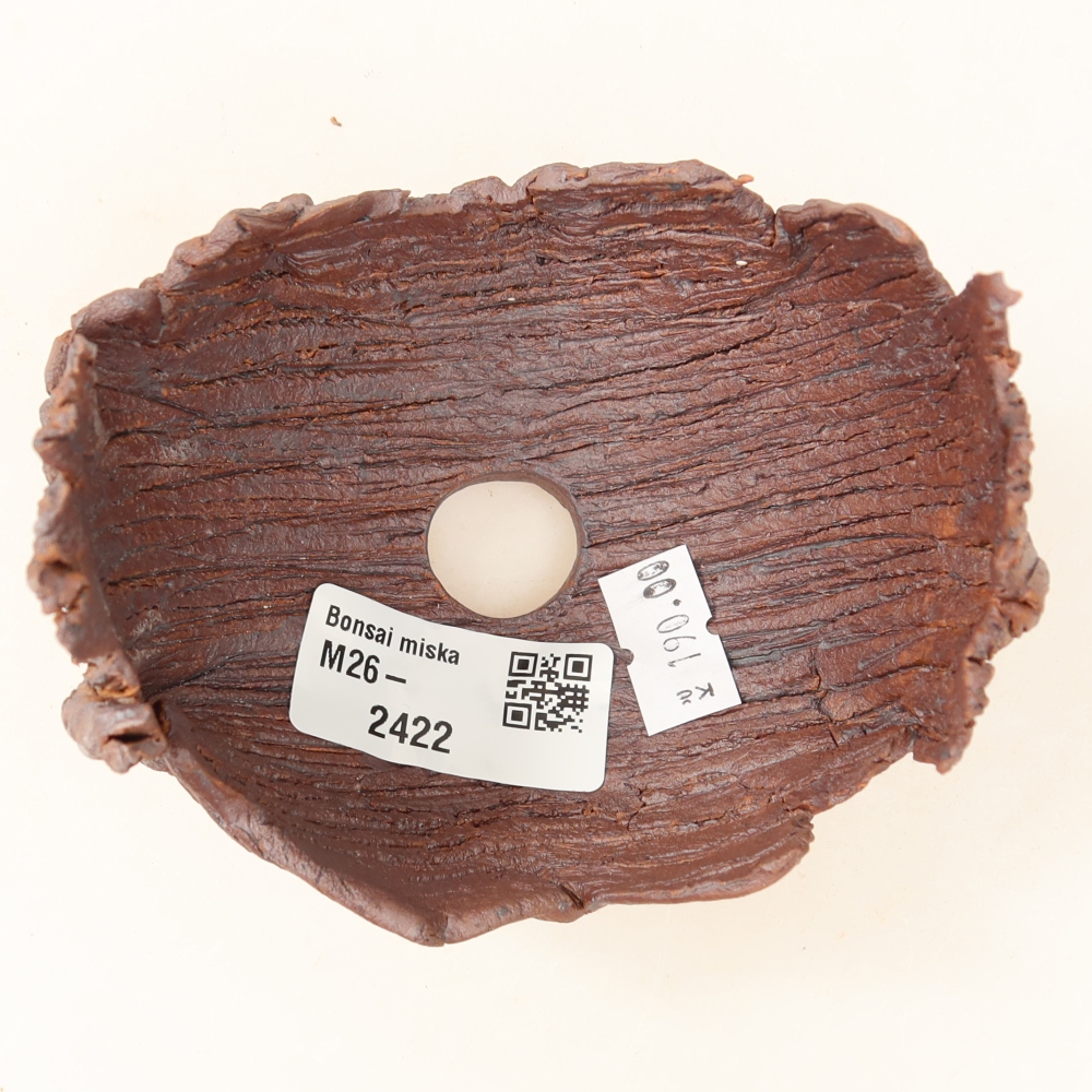 Ceramic Shell, 9.5 x 8.5 x 8 cm, brown