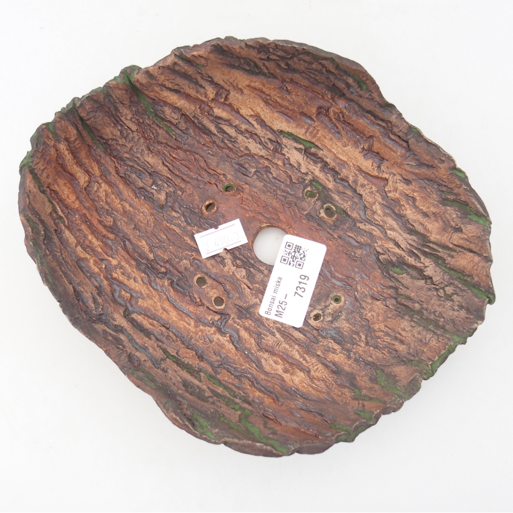 Ceramic Shell 20 x 16 x 6,5 cm , colour green