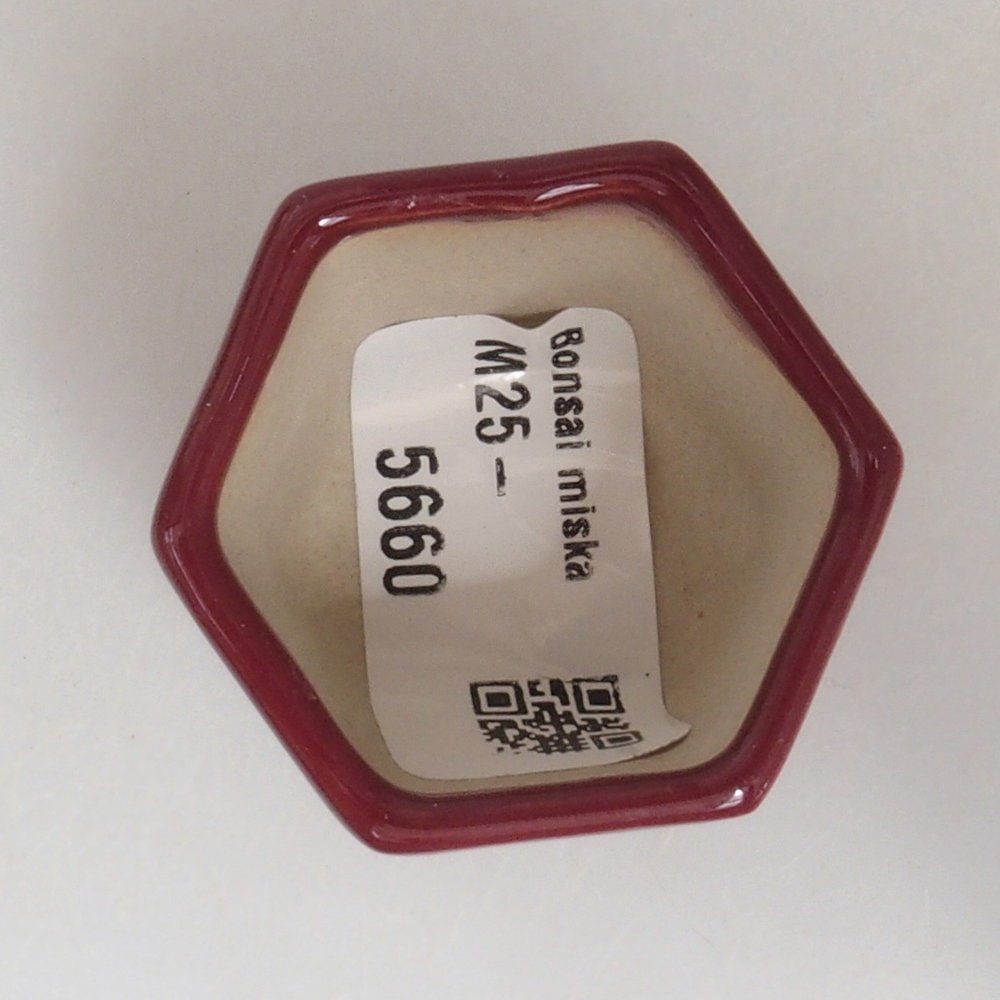 Mini bonsai bowl 4 x 4 x 3,5 cm, color burgundy