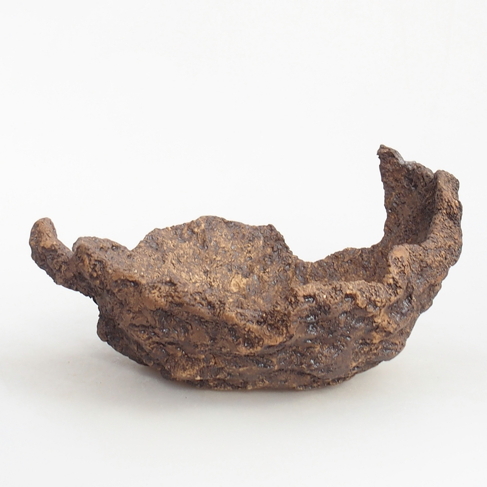 Ceramic shell 19 x 15 x 14 cm , colour brown