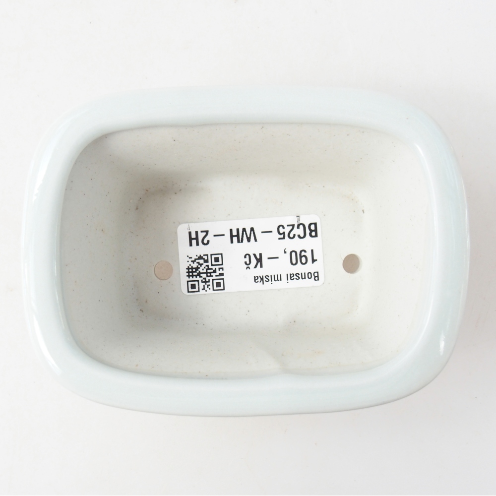 Mini bonsai bowl 10 x 7,5 x 4 cm, colour white