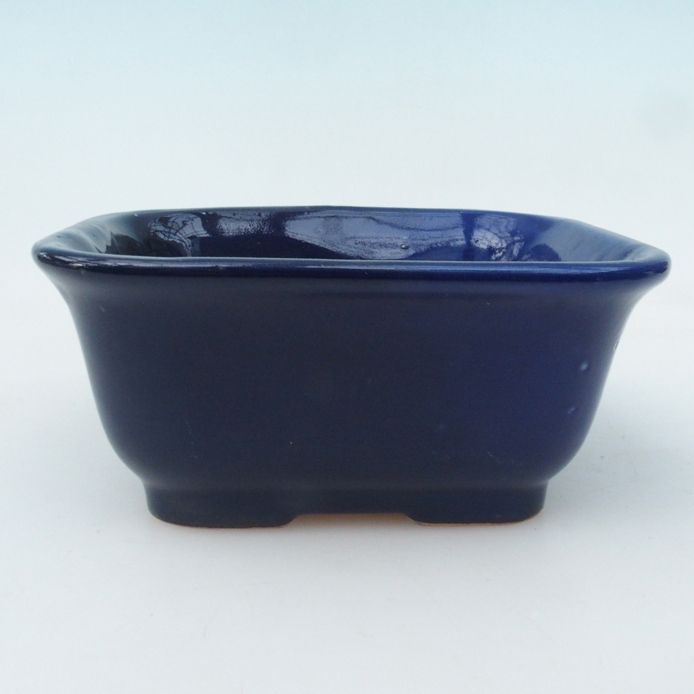 Bonsai bowl + saucer H01 - 12x9x5 cm