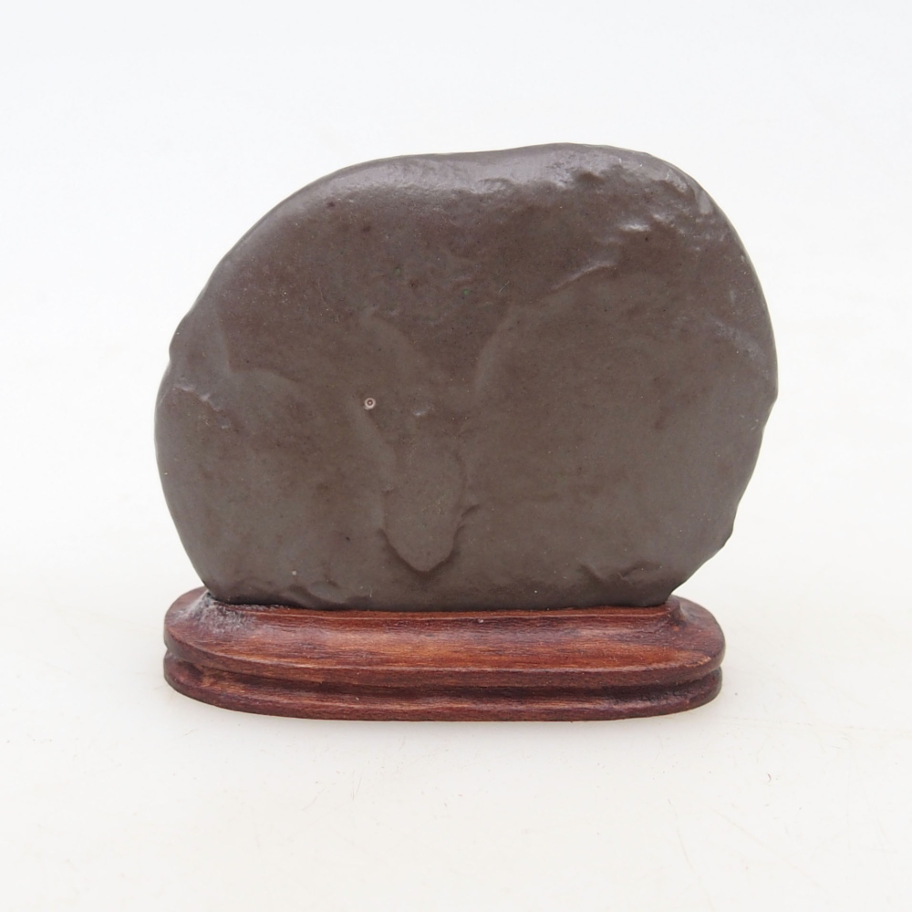 Suiseki - Stone with DAI (wooden pad)