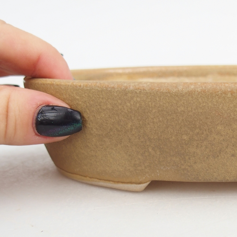 Ceramic bonsai bowl 17 x 14 x 4 cm, colour beige