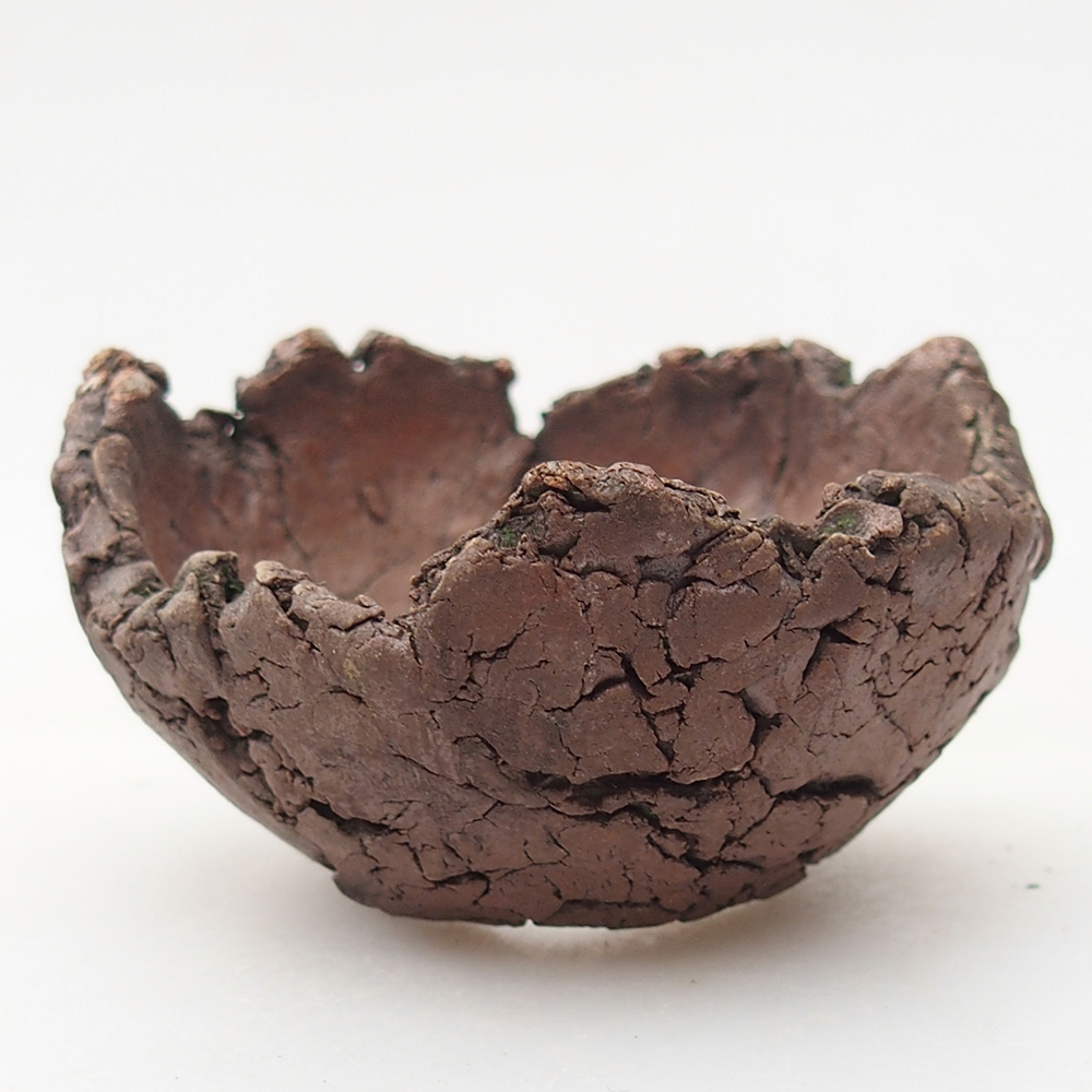 Ceramic Shell 7 x 7 x 4 cm , colour green