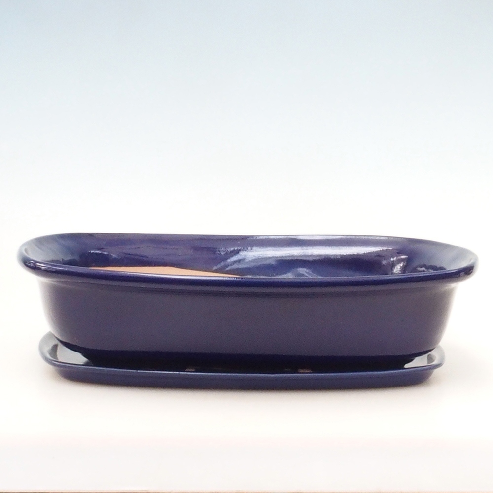 Bonsai pot + saucer H10 - 37 x 28 x 9 cm. - blue