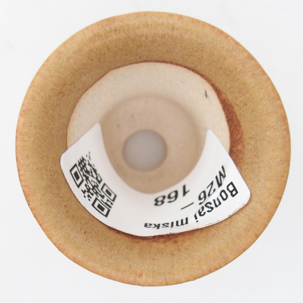 Mini bonsai bowl 4,5 x 4,5 x 4 cm, brown