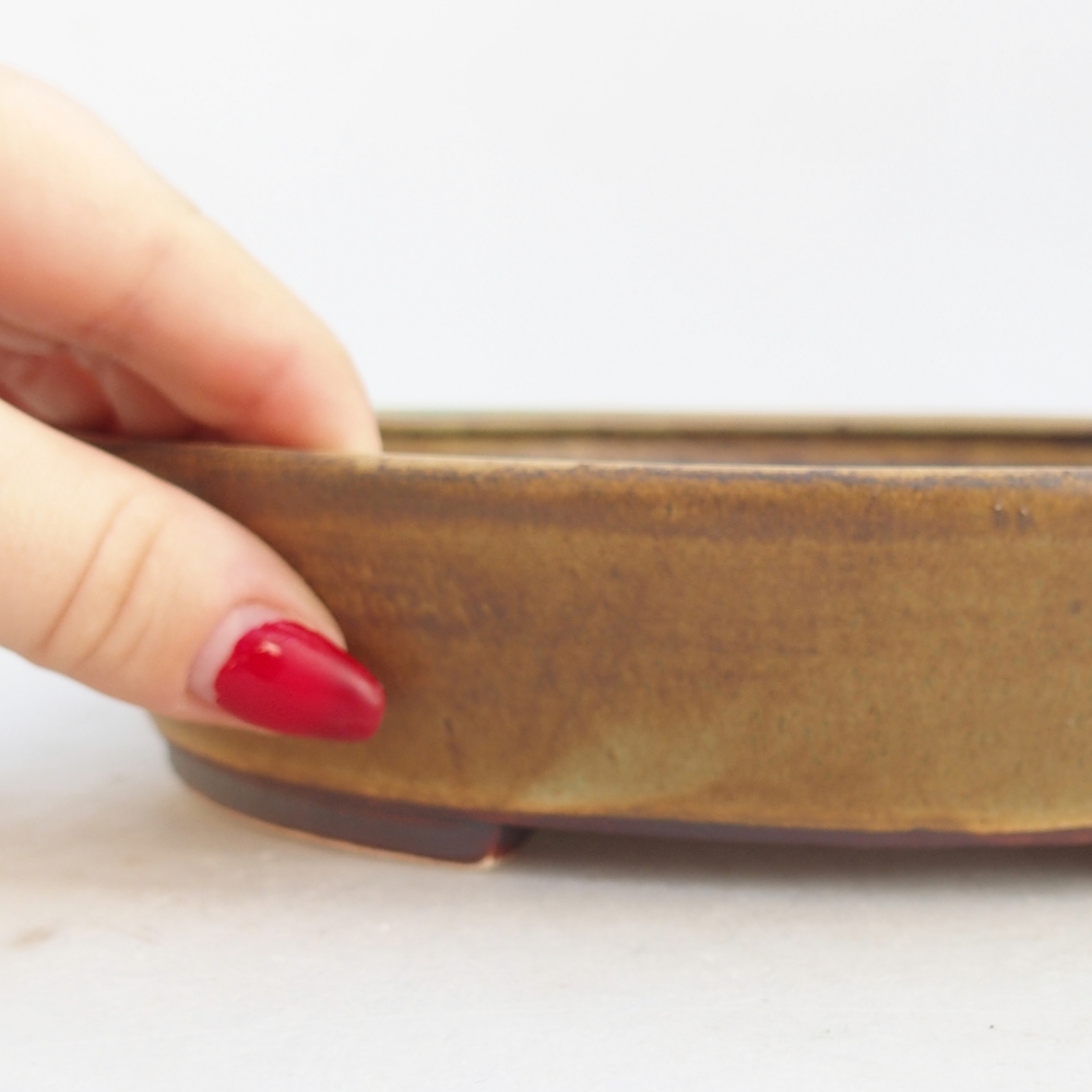 Ceramic bonsai bowl 21 x 19 x 4,5 cm, green