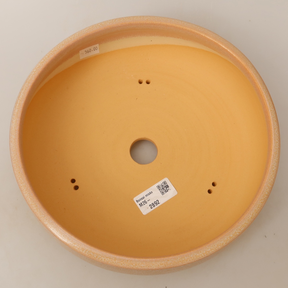 Ceramic bonsai pot, 24 x 24 x 7 cm, beige