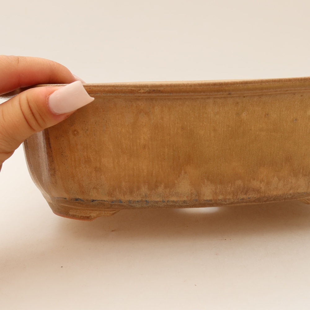 Ceramic bonsai pot, 24.5 x 21 x 7.5 cm, beige