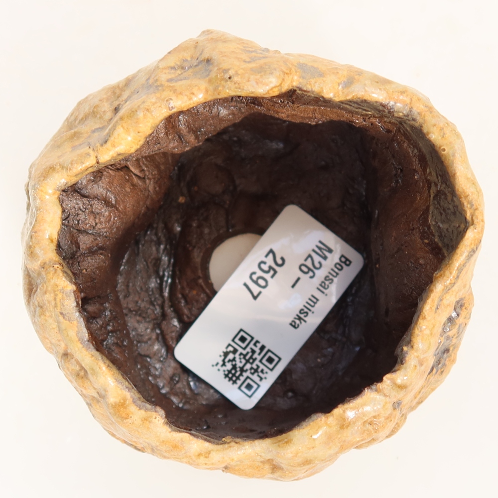 Ceramic Shell  7 x 6.5 x 6.5 cm, brown