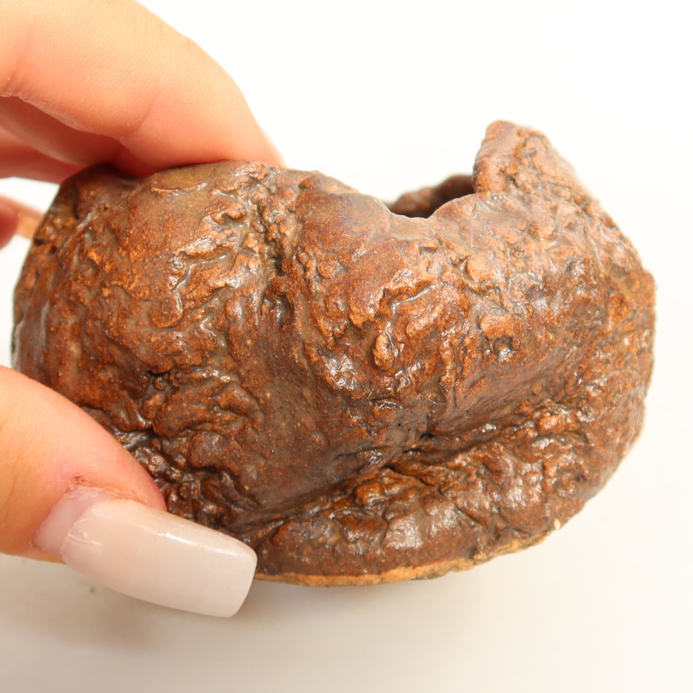 Ceramic Shell, 7 x 7 x 5.5 cm, brown