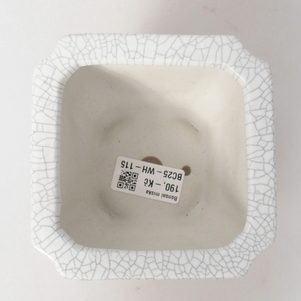 Ceramic bonsai bowl 11 x 11 x 7 cm, raku colour