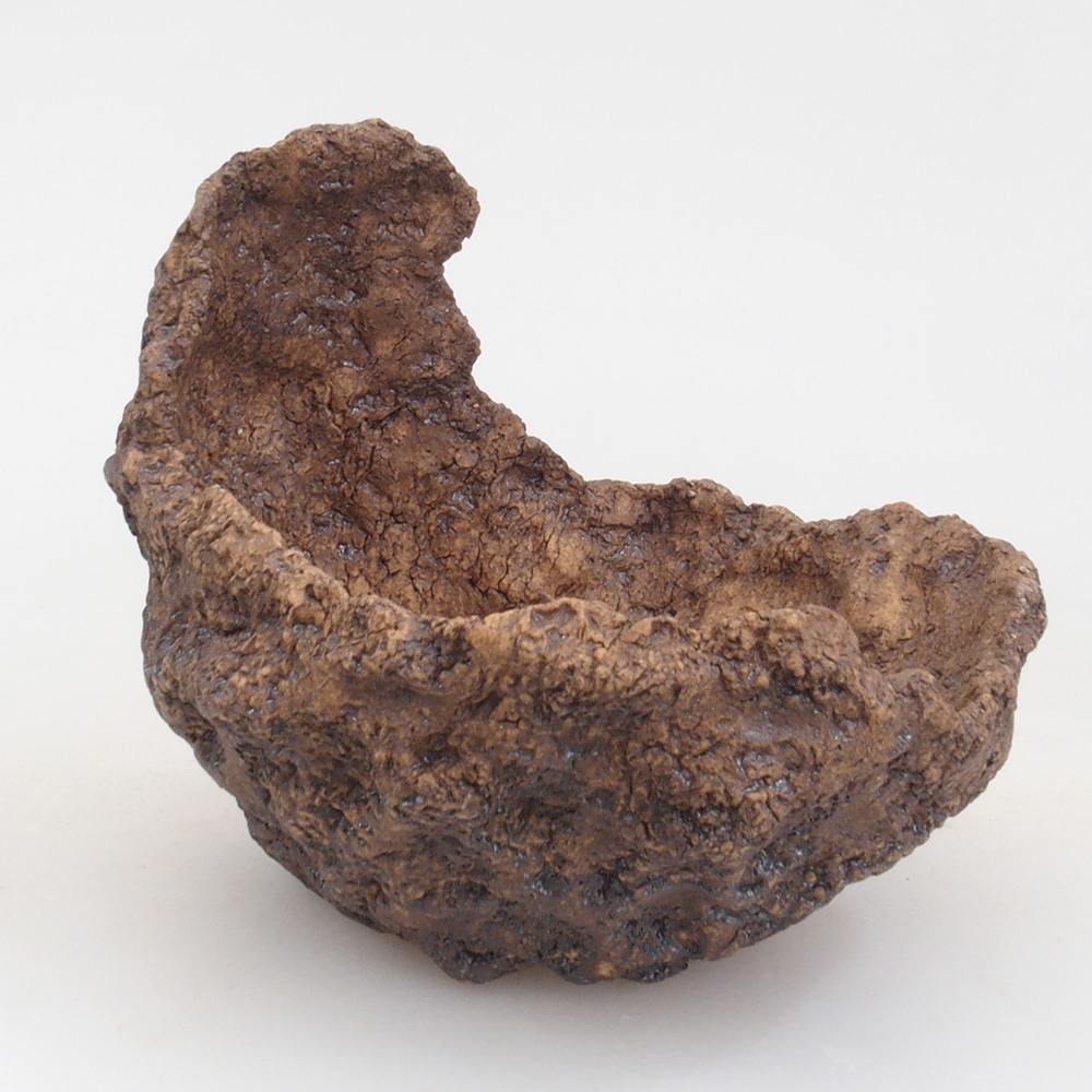 Ceramic shell 10 x 8 x 10 cm, brown color