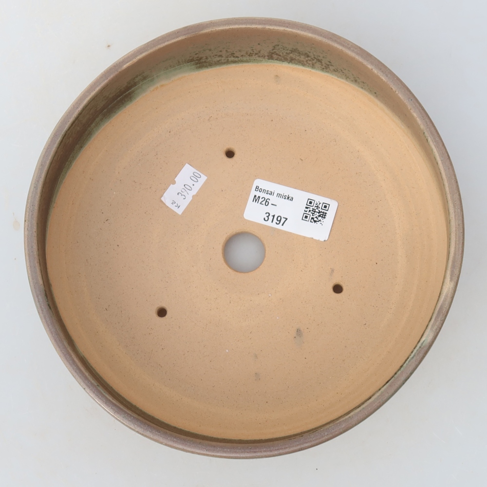 Ceramic bonsai pot, 18 x 18 x 6.5 cm, beige