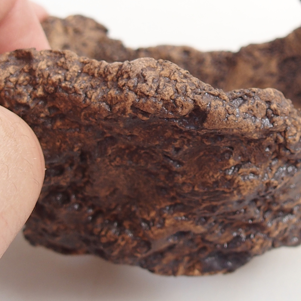 Ceramic Shell 9 x 8 x 7 cm , colour brown