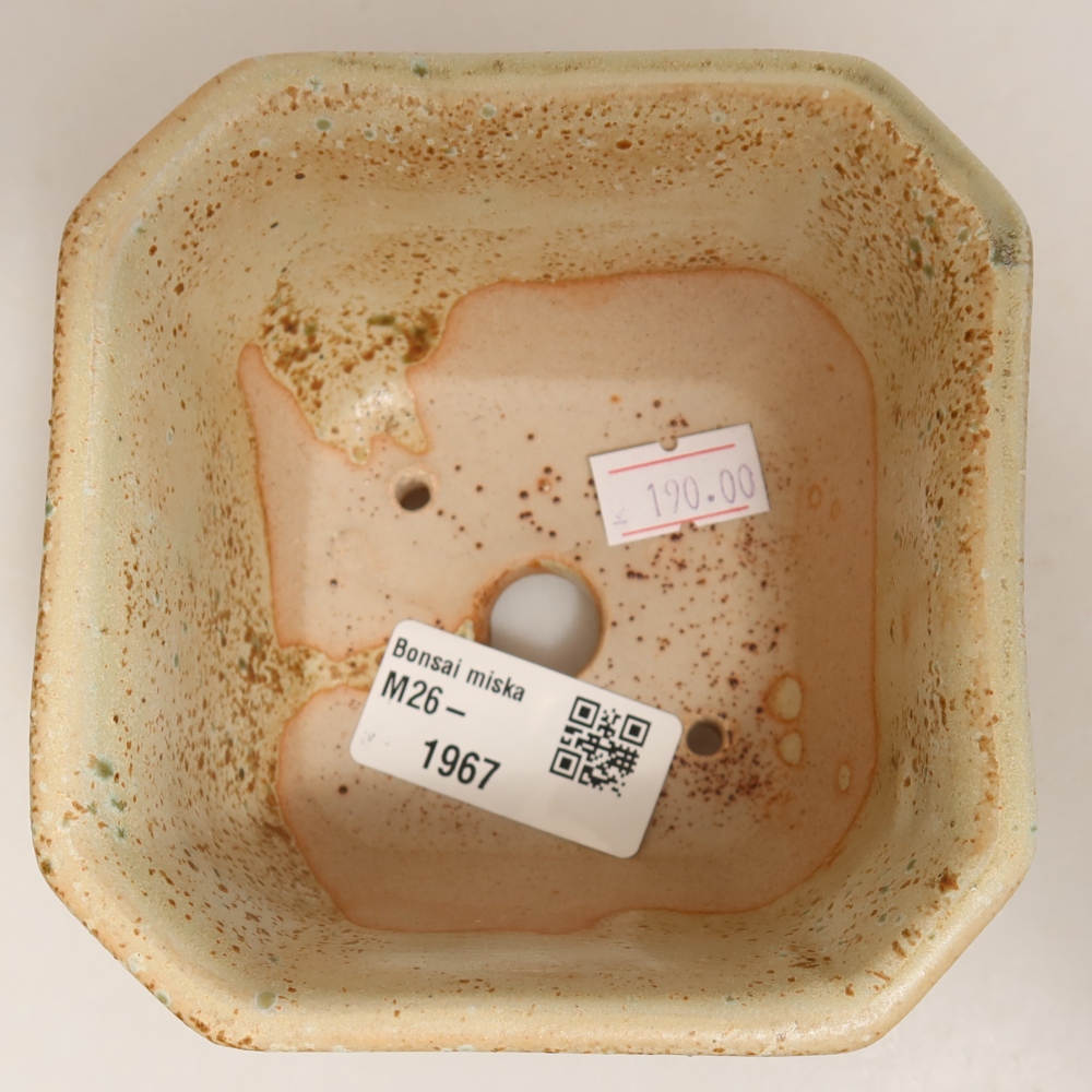 Ceramic bonsai pot, 10 x 10 x 6.5 cm, green