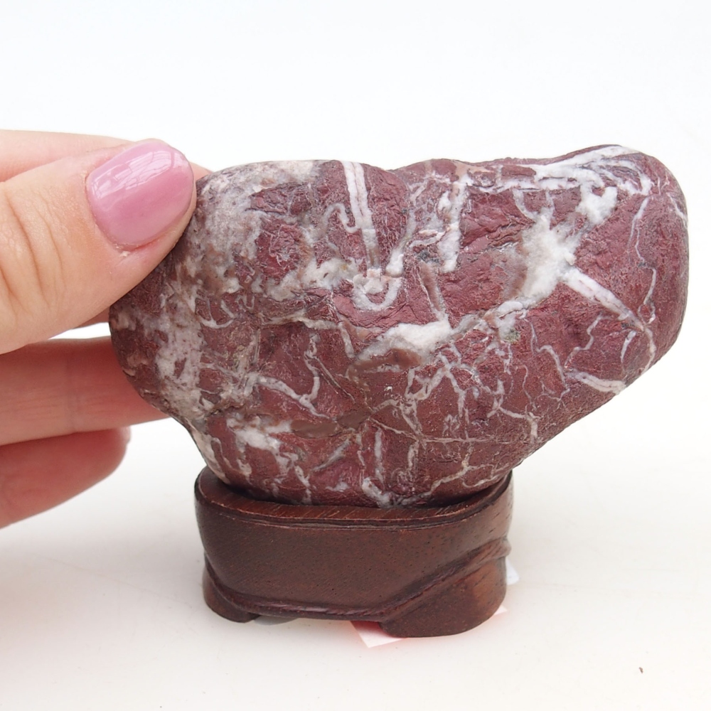 Suiseki - Stone with DAI (wooden pad)