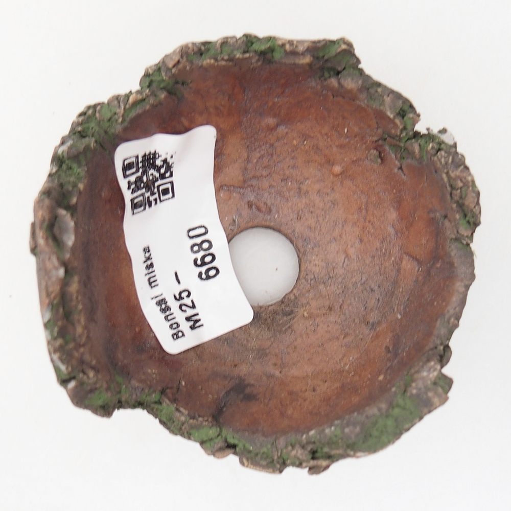 Ceramic Shell 7 x 6 x 5 cm , colour green