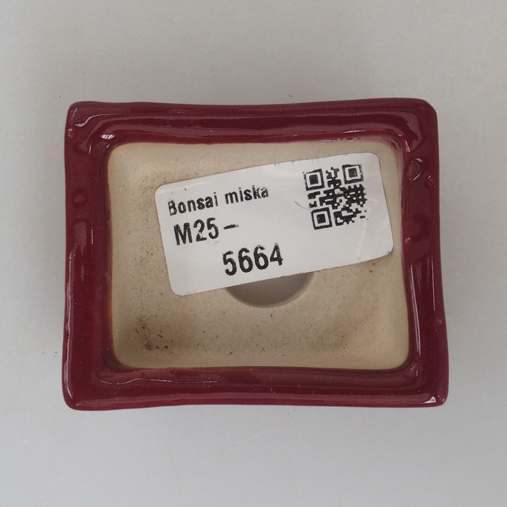 Mini bonsai bowl 6 x 4,5 x 2 cm, color burgundy