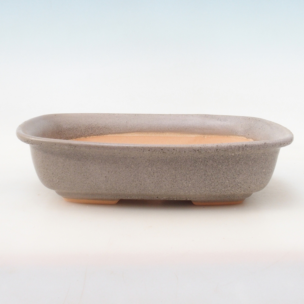 Bonsai pot + saucer H09 - 30 x 23 x 7.5 cm. - beige