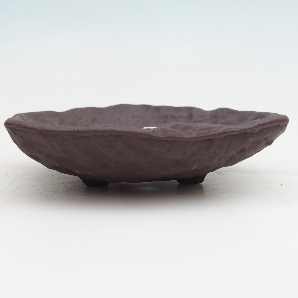 Ceramic Shell 15,5 x 15 x 4 cm , colour brown