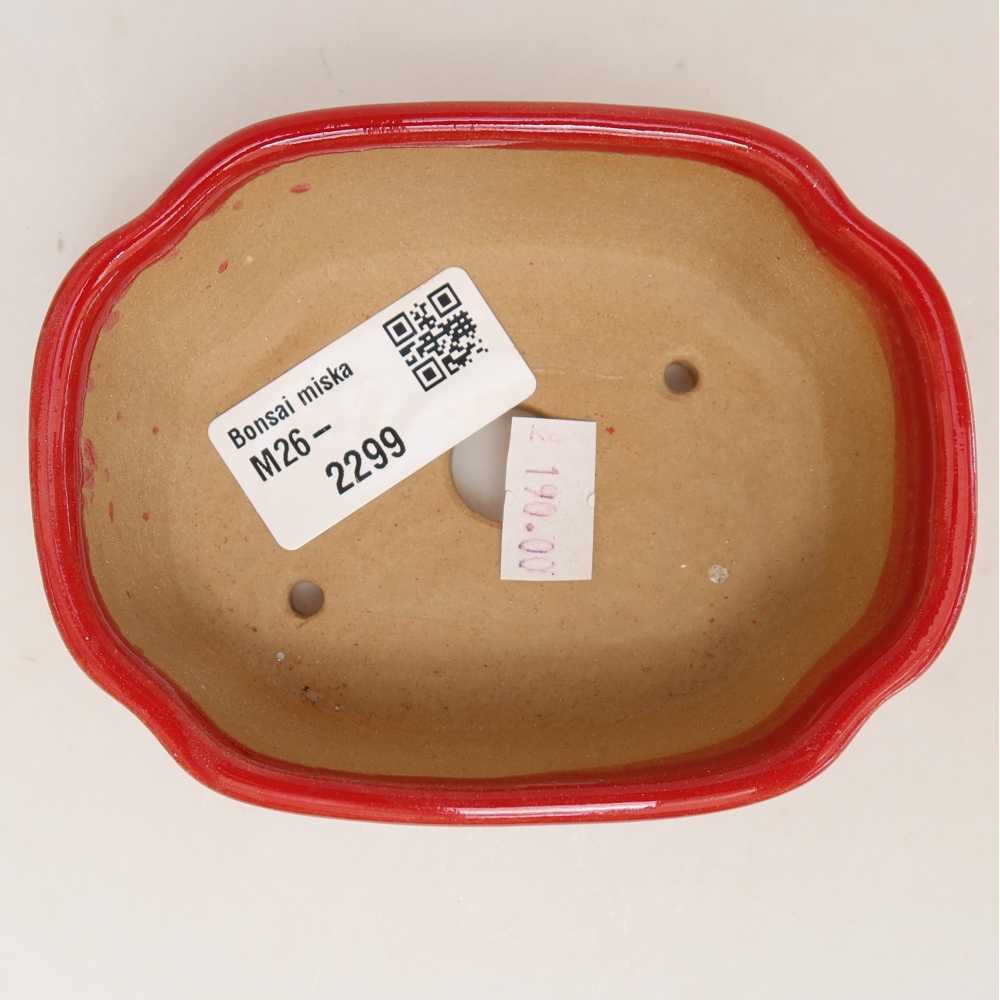 Ceramic bonsai pot, 10.5 x 8 x 4 cm, red