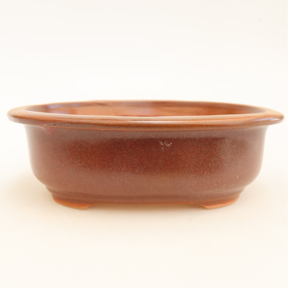 Ceramic bonsai pot, 18 x 14.5 x 5.5 cm, burgundy