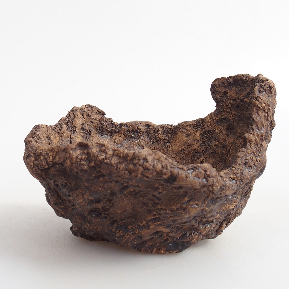 Ceramic Shell 9 x 8 x 7 cm , colour brown