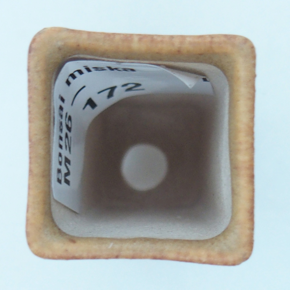 Mini bonsai bowl 2 x 2 x 5 cm, brown