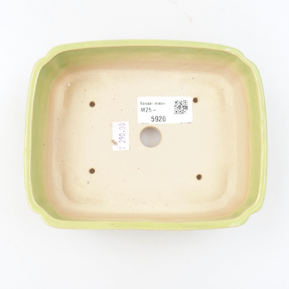 Ceramic bonsai bowl 15 x 12 x 4,5 cm, color green